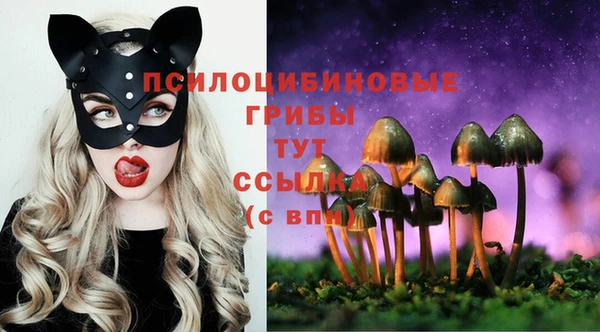 шишки Баксан