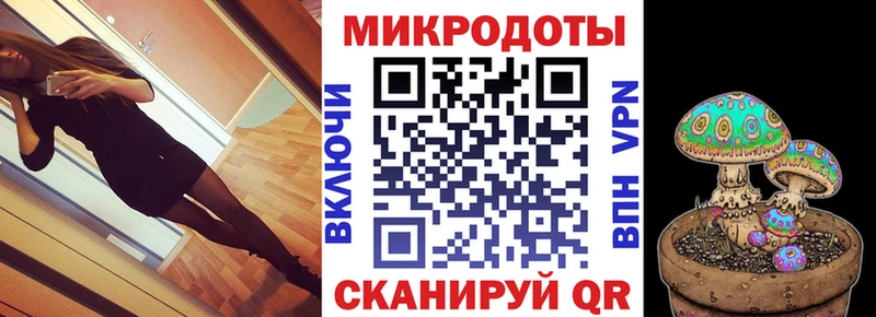 Псилоцибиновые грибы прущие грибы Белая Холуница