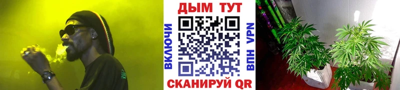 купить  сайты  Белая Холуница  ссылка на мегу сайт  Канабис тримм 